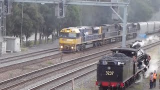 Hunter Valley Steamfest 2015  Coal amp Steam Trains [upl. by Htirehc858]