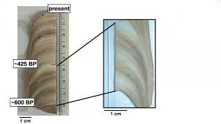 Highresolution Paleomagnetic Records from Speleothems using SQUID Microscopy Caue Borlina 22823 [upl. by Becka]