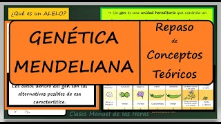 Genética Mendeliana RESUMEN Repaso de Conceptos Teóricos Biología Genética [upl. by Chuah]