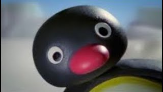 Pingu NOOT NOOT Compilation 3 [upl. by Tiffa]