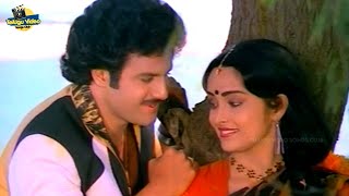 BALAKRISHNA RAJANI RALLALLO ISAKALLO VIDEO SONG  SEETHARAMA KALYANAM MOVIE [upl. by Aniles]