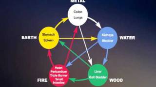 Chinese Five Elements 五行 wǔxíng or 5 Phases [upl. by Towne694]