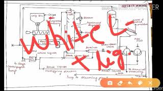 Manufacture of Pulp for paper PaperPulp Industry [upl. by Haneeja]