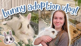 BRINGING HOME A NEW BUNNY 🐰  Adoption Vlog [upl. by Pride497]