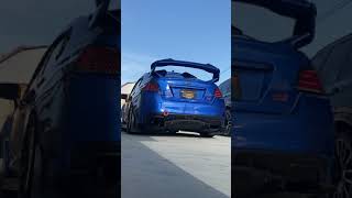 2019 Subaru WRX STI Tomei Expreme Ti Exhaust Cold Start [upl. by Ycam793]