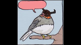 Annoyed Bird Meme  Digimon [upl. by Julie]