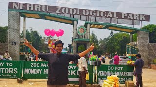 Hyderabad ka saab se bada zoo park 🐘🐼🐯  nehru zoological park  vlogs vlog [upl. by Aynwat]