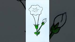 How to Draw and Color Datura Flower Easy for Kids  shorts drawing flowers art datura youtube [upl. by Denni]