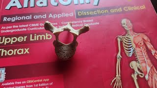 Thoracic Vertebrae Anatomy  Osteology  Mbbs First Year Video [upl. by Laehcimaj153]