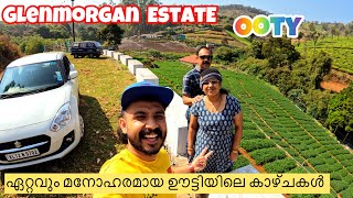 Glenmorgan Estate  Hidden beauty of ooty ടൂറിസ്റ്റുകൾക്കു പ്രവേശനം ഇല്ലാത്ത ഊട്ടിയിലെ സ്വർഗം [upl. by Namaan]