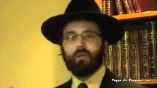 cours pessah  hamets et matsa l antithese  par le Rav Dov LumbrosoRoth [upl. by Anileh]