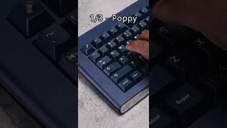 Which Mechanical Keyboard Sound Matches You Poppy Clacky or Thocky [upl. by Akimahc10]