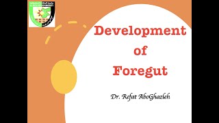 Development of Foregut Full Lecture [upl. by Frayne]