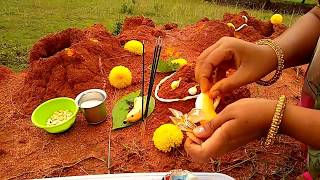 How to do Nagara Panchami Pooja  नागपंचमी पूजा  ನಾಗರ ಪಂಚಮಿ ಪೂಜೆ  నాగ పంచమి పూజ  Nag Panchami [upl. by Ylrevaw221]