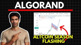 ALGORAND Massive Altcoin Season Update  Algorand Price Prediction [upl. by Niawat351]