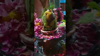 tum hi meri sandhya h gori bholenath shivshankar mahadev bhaktisong utube utubeshorts [upl. by Rogerson512]