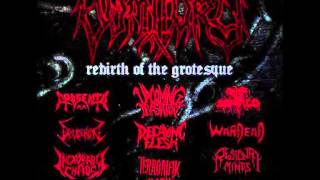 Upcoming devastation  The corpsegrinder experience Vomitory cover [upl. by Therese]