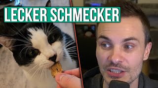 Katzen haben sich richtig gutes Futter bestellt [upl. by Nylyahs]