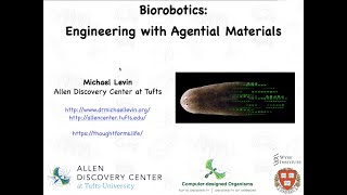 quotBiorobotics engineering with agential materialsquot [upl. by Primavera]