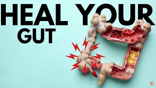 HOW I HEALED MY GUT  Best Supplement to Heal Your Gut  Sodium Butyrate [upl. by Adnohsirk]