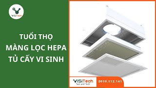 Tuổi thọ màng lọc HEPA của tủ cấy vi sinh như thế nào [upl. by Nuawed]