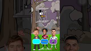 Who Will Save Stickman Mr Beast Speed or Ronaldo [upl. by Ahsika108]