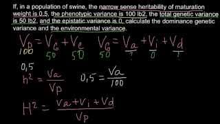 How to Calculate Dominance Genetic variance and Environmental Variance [upl. by Duval295]