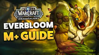 EVERBLOOM M DUNGEON GUIDE Dragonflight Season 3 [upl. by Irwinn]