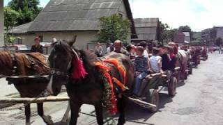 Spring Sheep Herders Parade in Dubove Ukraine [upl. by Enelrad]