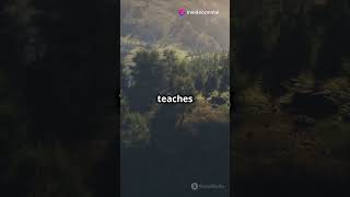 Nature Your Greatest Teacher 🌿 2024 mindset nature lessons motivation facts quotes [upl. by Orme]