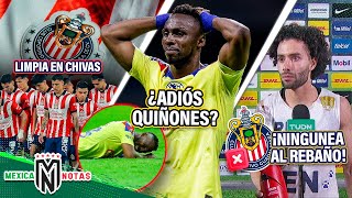 ¡6 O 7 BAJAS EN CHIVAS TRAS FRACASO  ¡¿Ame PIERDE A QUIÑONES  Chino Huerta NINGUNEA al Rebaño [upl. by Sweatt804]