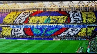 Fenerbahçe Taraftarının Yaptığı Bütün Koreografiler  HD [upl. by Alejo]