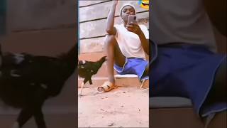 The hen understood and pecked😁😂black manfunny itxazmat shorts viralshort [upl. by Nacim]