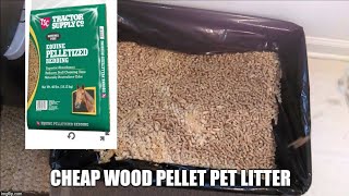 Cheap Cat Kitten Litter Using Pine Pellets Equine Bedding Wood Stove Environmental Friendly Compost [upl. by Arze]