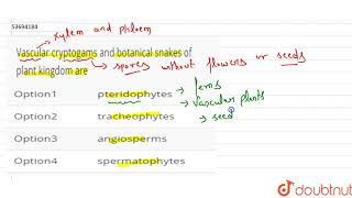 Vascular cryptogams and botanical snakes of plant kingdom are [upl. by Shaner]