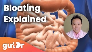 Bloating  The GutDr Explains 3D Gut Animation [upl. by Joris]