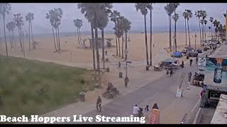 Venice Beach Santa Monica Webcam  Venice Beach Live Cam [upl. by Mckay]