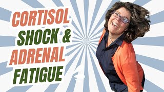 Cortisol Shock and Adenal Fatigue [upl. by Novah]