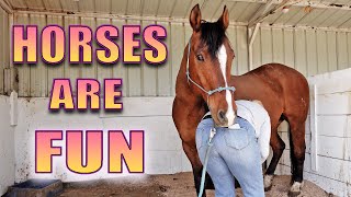 What It’s REALLY Like Owning a Horse [upl. by Arobed]