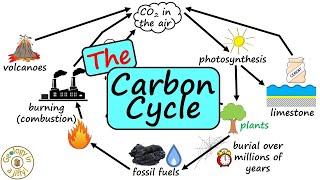 The Carbon Cycle  Geology in a Jiffy [upl. by Hgielrac]