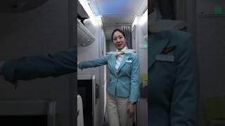 Korean Air Prestige Class Business Class from JFK to ICN on B7478 [upl. by Simdars]