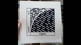 Cignol  Program Shift [upl. by Reltuc]