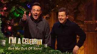 Ant amp Dec Laughing During Trials  Im A Celebrity Get Me Out Of Here [upl. by Lear]