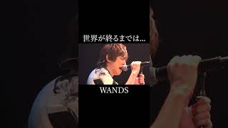 世界が終るまでは  WANDS【歌ってみた】 shorts [upl. by Amarillis]