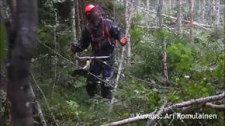 Rästitaimikkoa raivaamassa  Metsälehti [upl. by Embry]