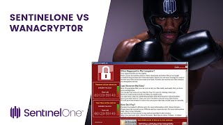 SentinelOne vs WanaCrypt0r [upl. by Eseyt]