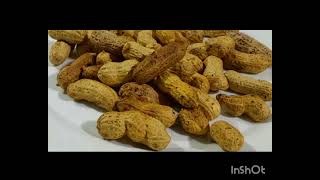 peanuts Health benefits  Mongphali k Faidy  Taste By Muhammad Barira Vlog [upl. by Berna38]