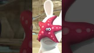 Une étoile de mer volante  🐚  Les Lapins Crétins Invasion 🐰  Dessins animés pour enfants shorts [upl. by Vannie]