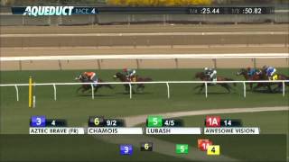 Aztec Brave  2015 Dangers Hour Stakes [upl. by Aij]