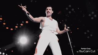 Happy Frisky Freddie Friday 💛❤️🤍 [upl. by Ahidam]